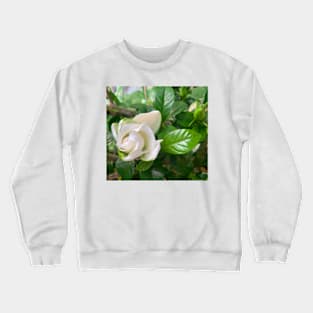 Gardenia flower Crewneck Sweatshirt